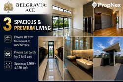 Belgravia Ace (D28), Terrace #609546781